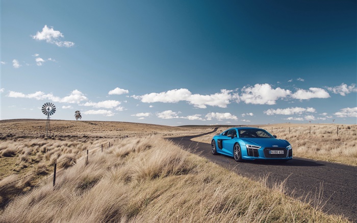 Audi R8 V10 carro azul, natureza, grama, estrada Papéis de Parede, imagem
