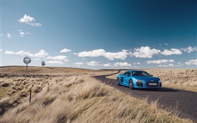 Audi R8 V10 carro azul, natureza, grama, estrada HD Papéis de Parede