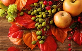 Outono, frutos, folhas, bagas, maçãs