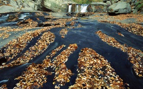 Outono, muitas folhas, cachoeira, angra, rochas HD Papéis de Parede