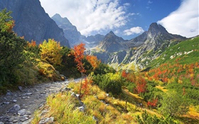 natureza do outono, montanhas, grama amarela, árvores, nuvens