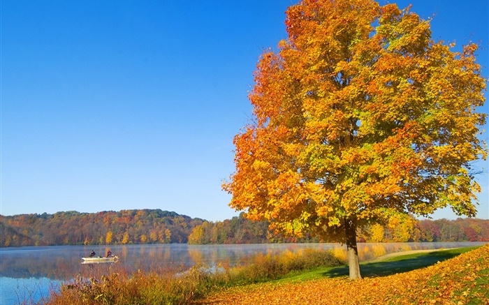 Outono, árvore, folhas amarelas, rio Papéis de Parede, imagem