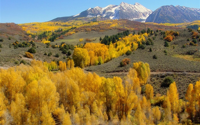 Outono, árvores, montanhas Papéis de Parede, imagem