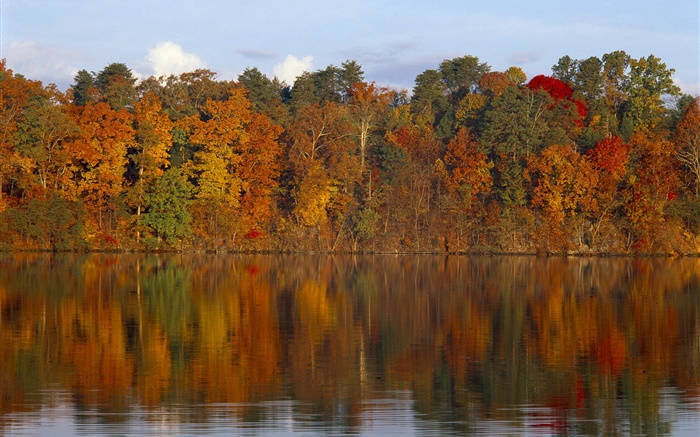 Outono, árvores, rio Papéis de Parede, imagem