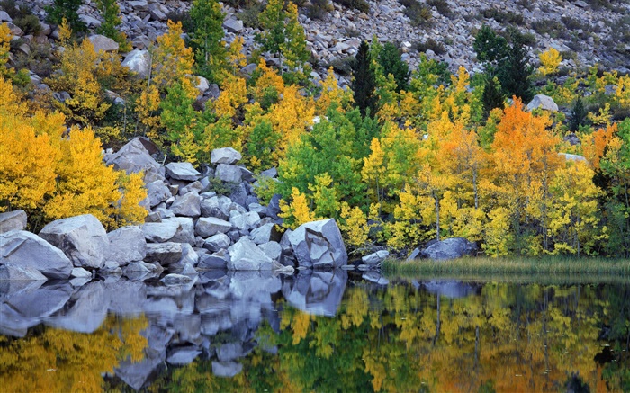 Outono, árvores, rochas, lago, reflexão da água Papéis de Parede, imagem