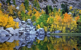 Outono, árvores, rochas, lago, reflexão da água