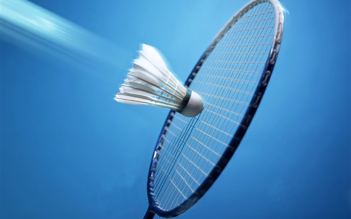 Badminton e raquete, fundo azul Papéis de Parede, imagem