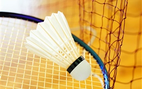 Badminton e raquete HD Papéis de Parede