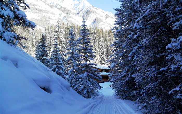 Parque Nacional de Banff, Canadá, árvores, casa, montanhas, neve Papéis de Parede, imagem
