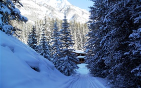 Parque Nacional de Banff, Canadá, árvores, casa, montanhas, neve HD Papéis de Parede