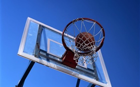cesta de basquete e basquete HD Papéis de Parede