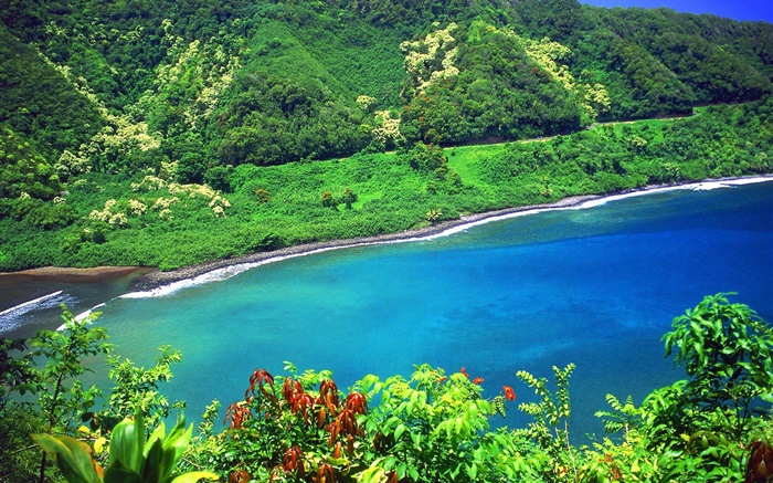 Baía, mar, montanhas, plantas verdes, Havaí, EUA Papéis de Parede, imagem