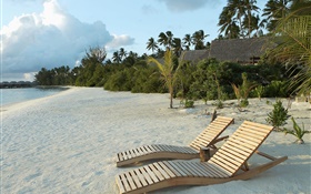 Praia, cadeira, palmeiras, tropical HD Papéis de Parede