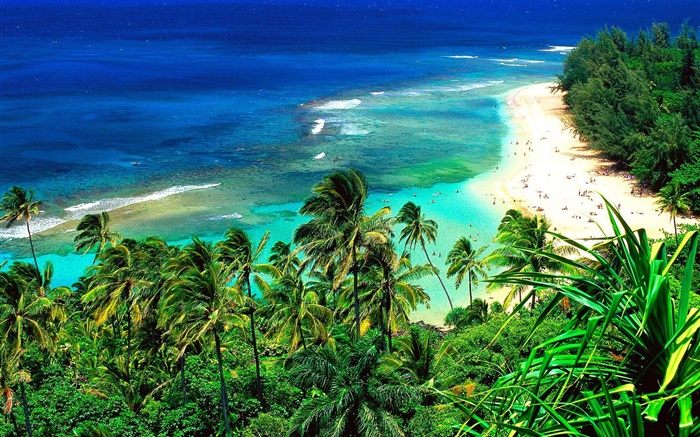 Praia, pessoas, viagem, mar azul, Havaí, EUA Papéis de Parede, imagem