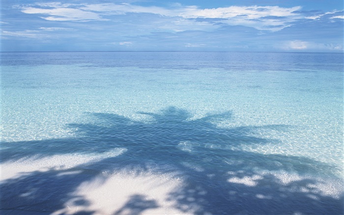 Praia, mar, Sombra da palmeira, Maldives Papéis de Parede, imagem