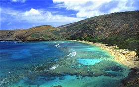 Praia, mar, as pessoas, Havaí, EUA