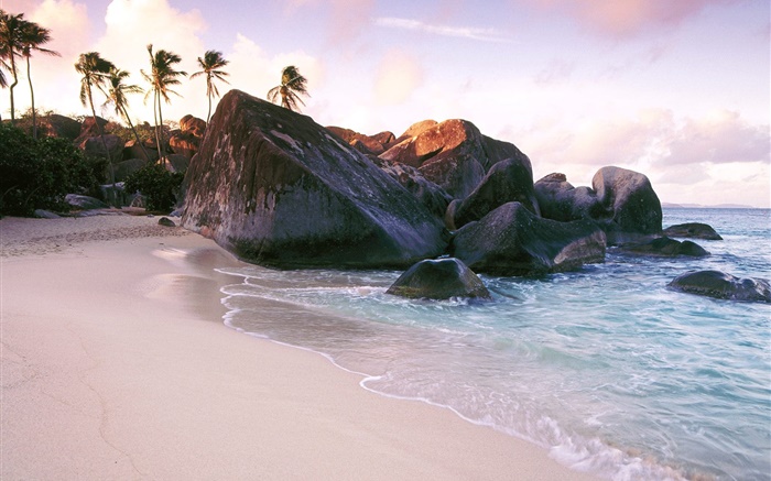 Praia, mar, pedras, rochas, palmeiras Papéis de Parede, imagem