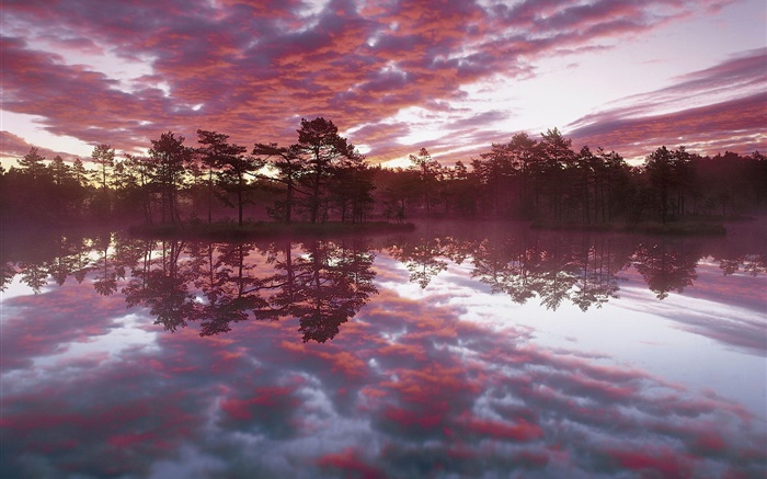anoitecer bonito, árvores, lago, reflexão da água, nuvens vermelhas Papéis de Parede, imagem