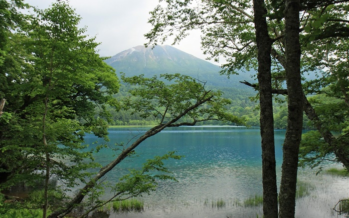 Bela natureza, lago, árvores, montanhas, Hokkaido, Japão Papéis de Parede, imagem