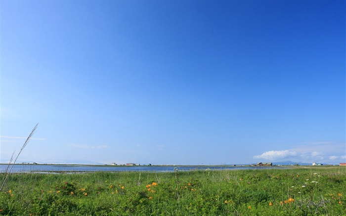 Céu azul, grama, costa, Hokkaido, Japão Papéis de Parede, imagem