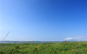 Céu azul, grama, costa, Hokkaido, Japão