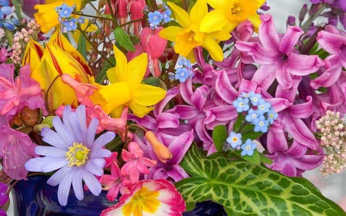 flores Bouquet, muitos tipos, colorido Papéis de Parede, imagem