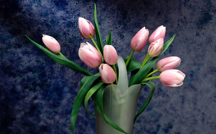 Bouquet, flores tulipa rosa Papéis de Parede, imagem