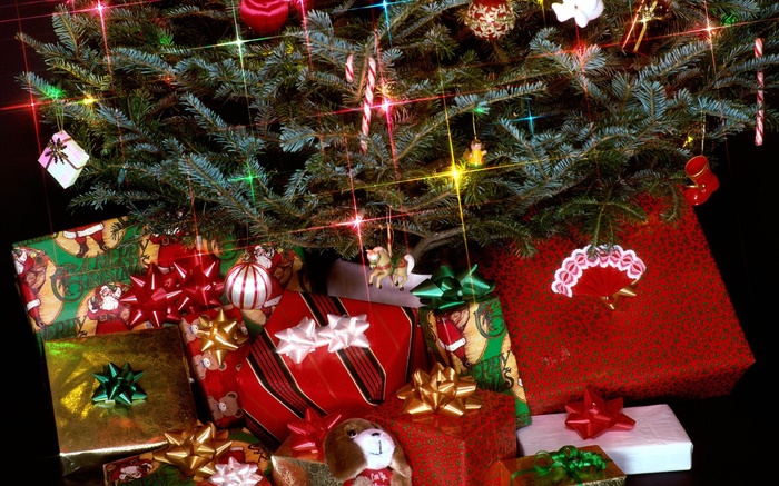 Presentes de Natal, luzes, galhos de pinheiro Papéis de Parede, imagem