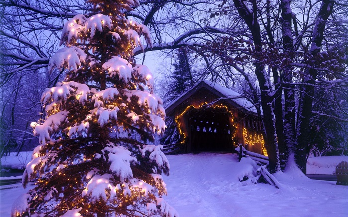 árvore de natal, neve, casa, árvores Papéis de Parede, imagem