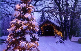 árvore de natal, neve, casa, árvores HD Papéis de Parede
