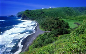 Costa, mar, praia, Havaí, EUA HD Papéis de Parede