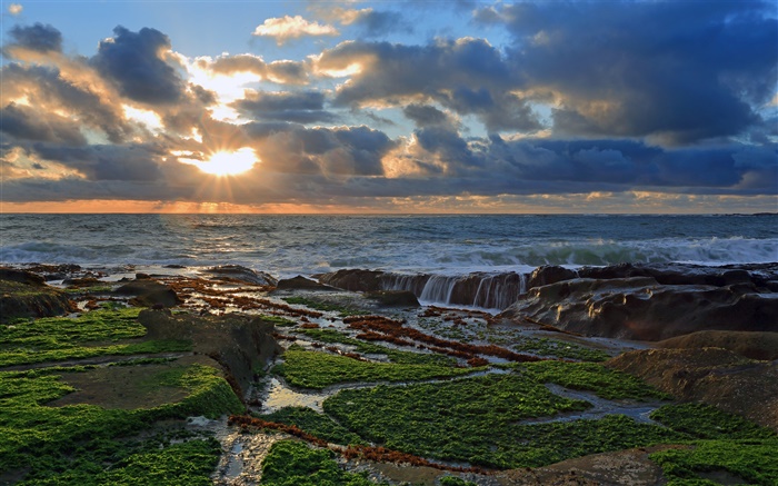 Costa, pedras, pôr do sol, nuvens, oceano Pacífico Papéis de Parede, imagem