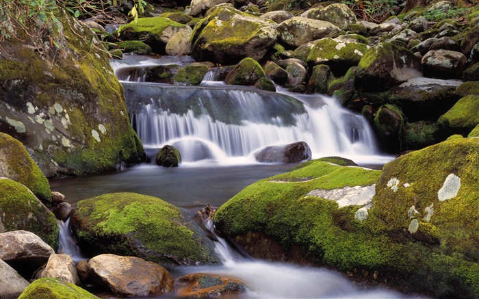 Creek, cachoeiras, pedras, musgo, cenário da natureza Papéis de Parede, imagem