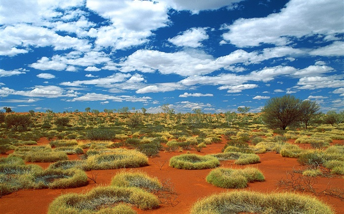 Deserto, grama, nuvens, Austrália Papéis de Parede, imagem
