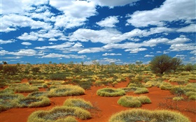 Deserto, grama, nuvens, Austrália