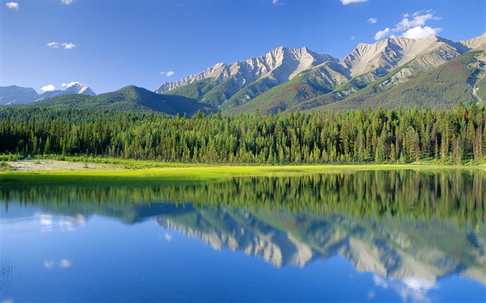 Dog Lake, montanhas, floresta, parque nacional de Kootenay, Columbia Britânica, Canadá Papéis de Parede, imagem