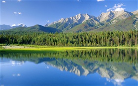 Dog Lake, montanhas, floresta, parque nacional de Kootenay, Columbia Britânica, Canadá HD Papéis de Parede
