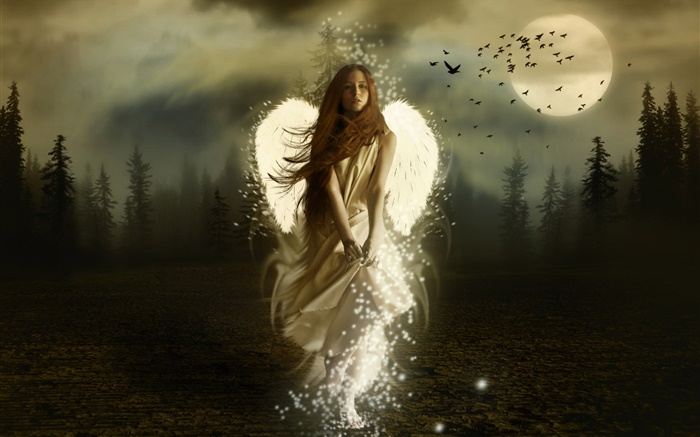 menina do anjo fantasia, asas brancas, noite, lua, pássaros Papéis de Parede, imagem