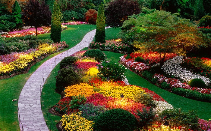 flores do jardim, colorido, primavera Papéis de Parede, imagem
