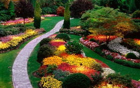 flores do jardim, colorido, primavera