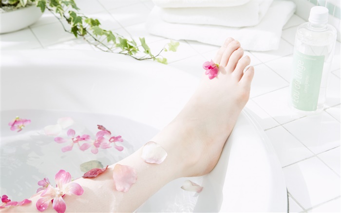 Menina perna, pétalas, banheira, tema SPA Papéis de Parede, imagem