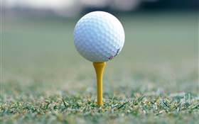 bola de golfe close-up