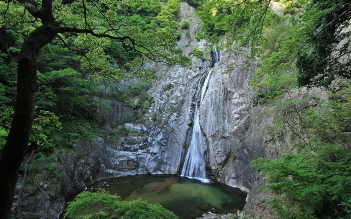 Grande natureza, cachoeiras, penhascos, lago, árvores, Hokkaido, Japão Papéis de Parede, imagem