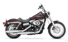 Harley-Davidson motocicleta clássica