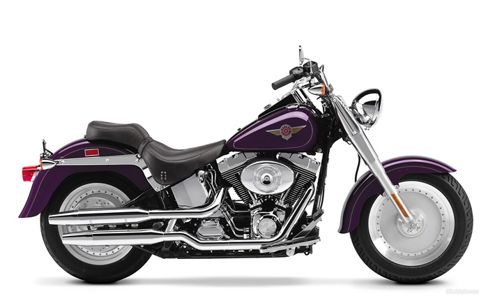 Harley-Davidson motocicleta, Fatboy Papéis de Parede, imagem