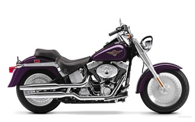 Harley-Davidson motocicleta, Fatboy HD Papéis de Parede