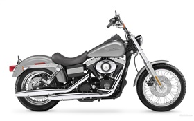 Harley-Davidson, preto e cinza