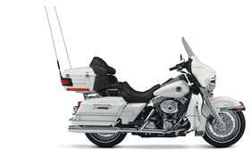 Harley-Davidson motocicleta branca HD Papéis de Parede