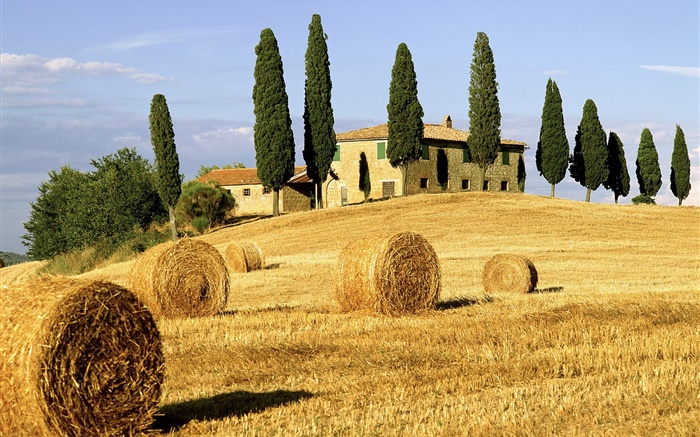 Monte de feno, campos, casas, árvores, Itália Papéis de Parede, imagem