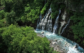 Hokkaido, Japão, cachoeiras, riacho, penhasco, plantas